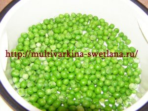 P1010949 300x225 %название