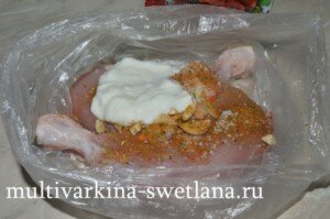 DSC 0525 300x199 %название