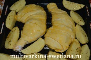 DSC 0532 300x199 %название